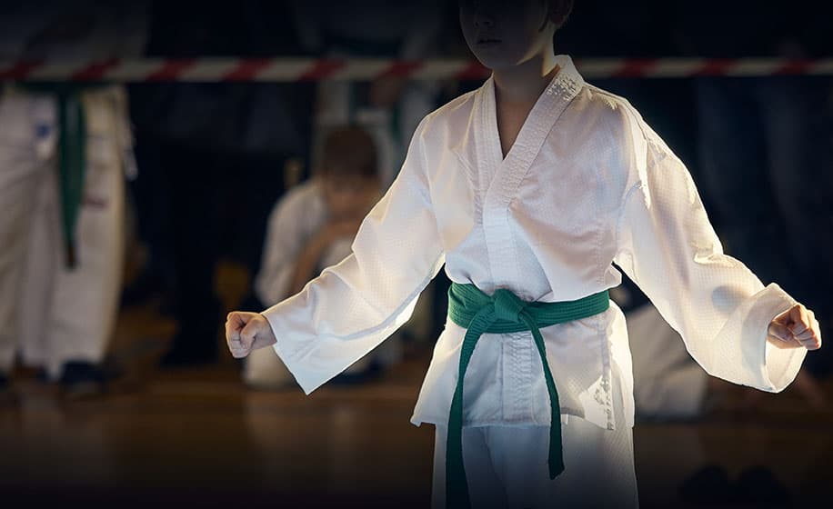 What is the belt order in TaeKwonDo