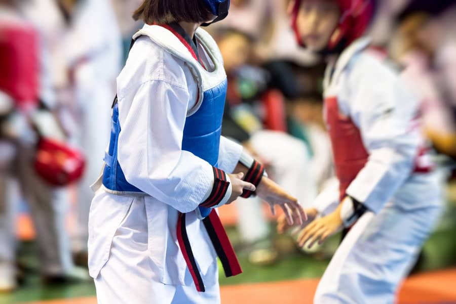 Taekwondo Gloves TAE-KWON-DO Mitts Grappling Training Martial Arts-Spar WTF V0N6 