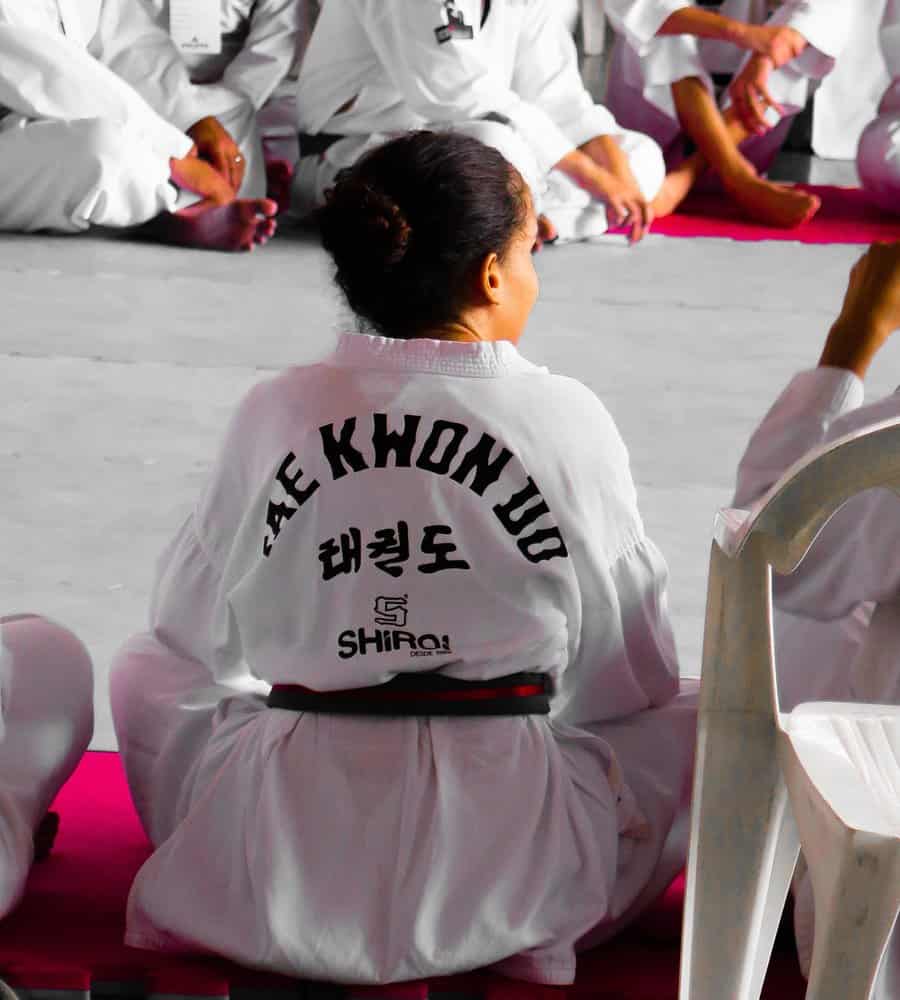 TaeKwonDo Schools