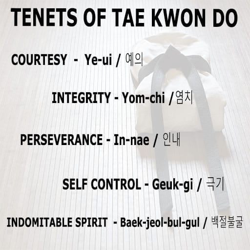 Tenets of Tae Kwon Do Explained