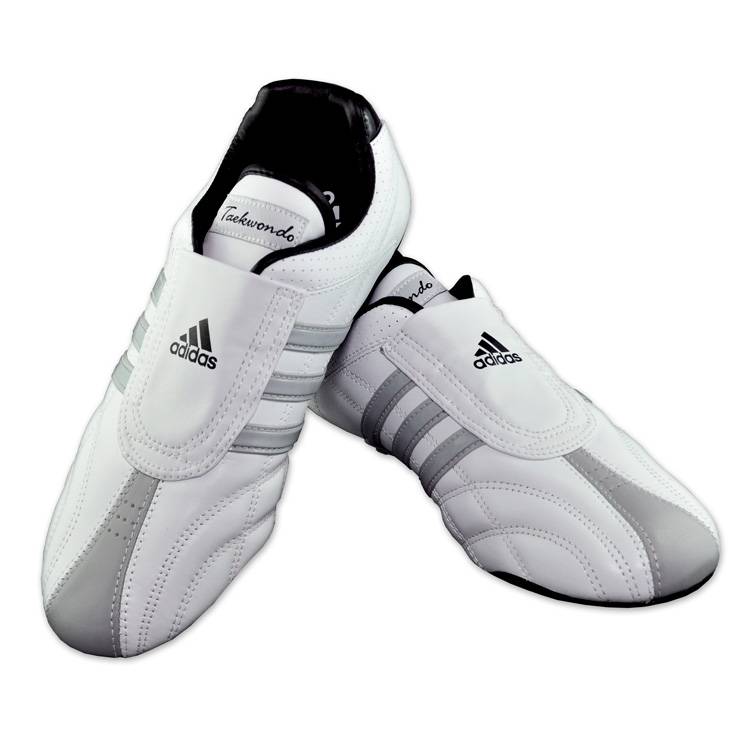 Training Shoes for Tae Kwon Do