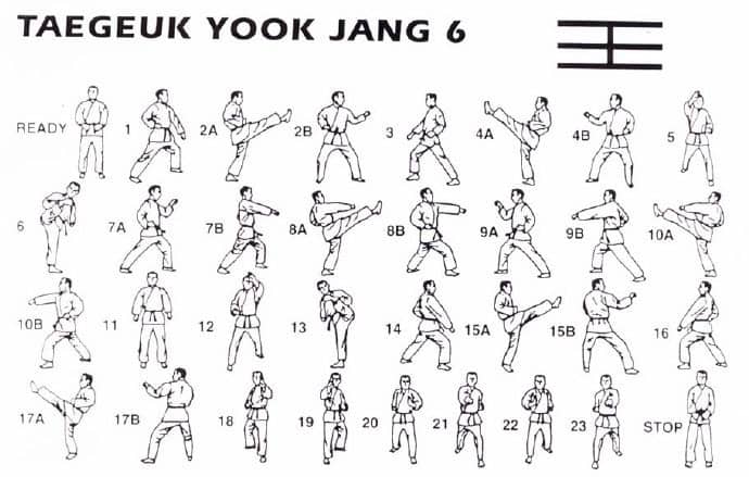 Form 6 Taegeuk Yook Jang