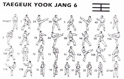 Form 6 Taegeuk Yook Jang