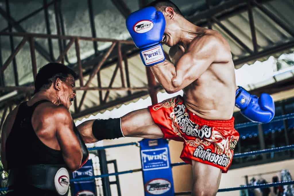 Muay Thai vs TaeKwonDo