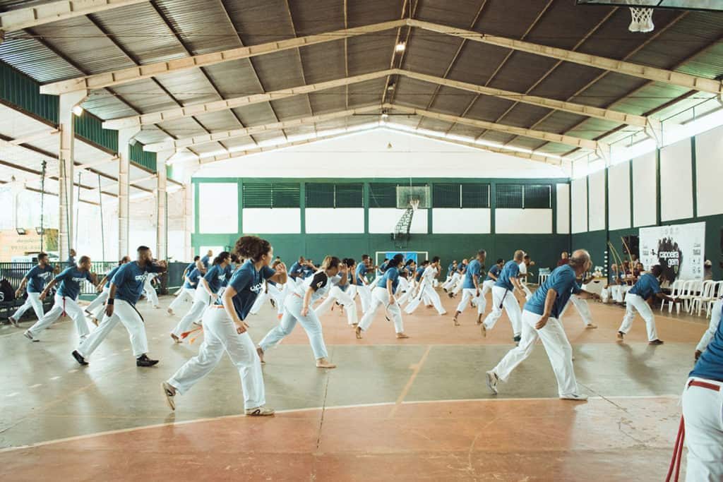 Martial Arts Style Capoeira