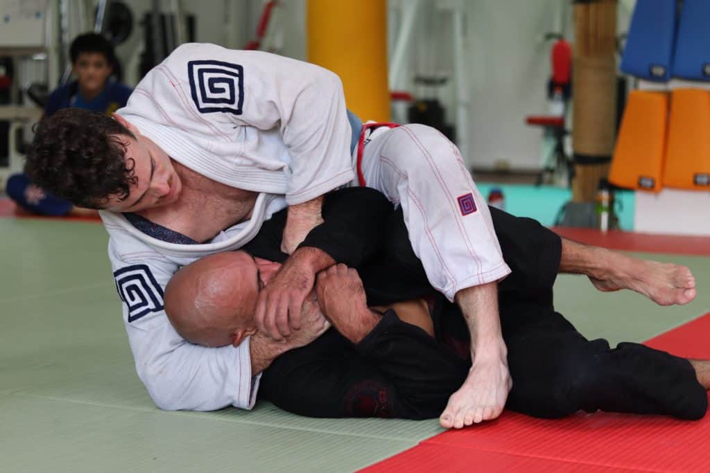 Martial Arts Style  Jiujitsu