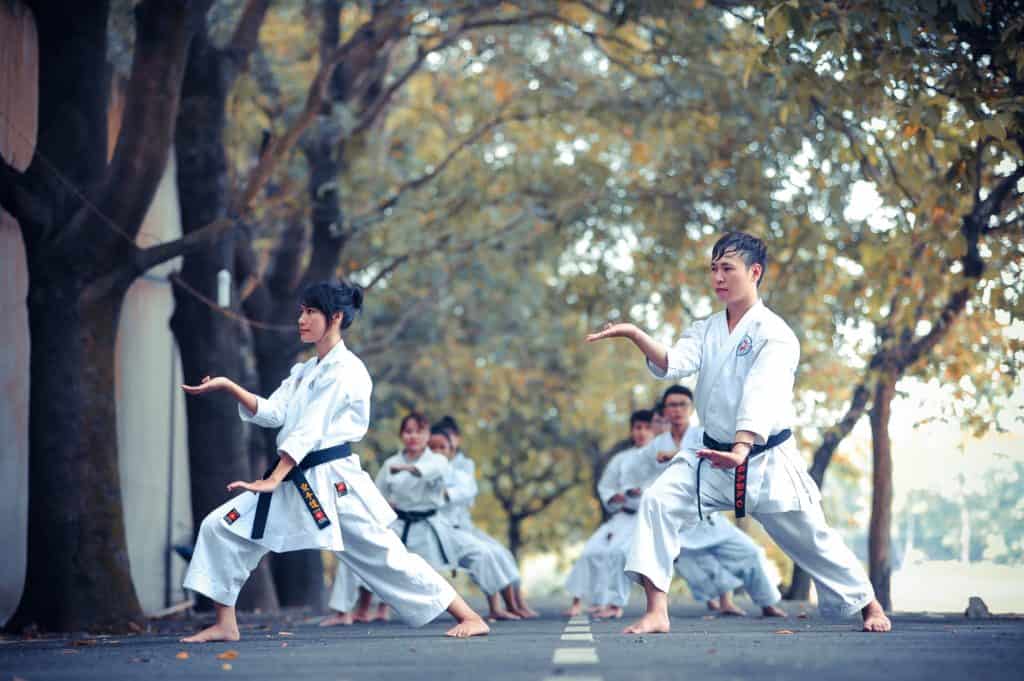 Martial Arts What Are The Different Styles? Tae Kwon Do