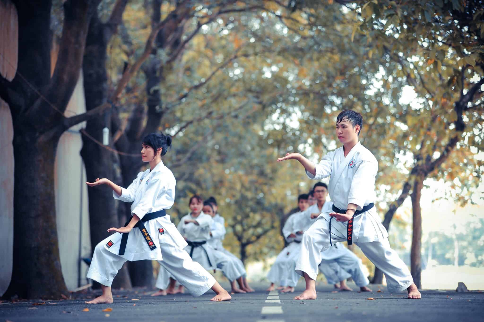 What Are The Top 12 Martial Arts Styles? Tae Kwon Do Nation