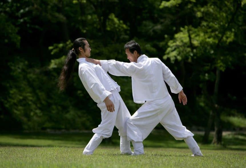 Taekkyeon vs Taekwondo