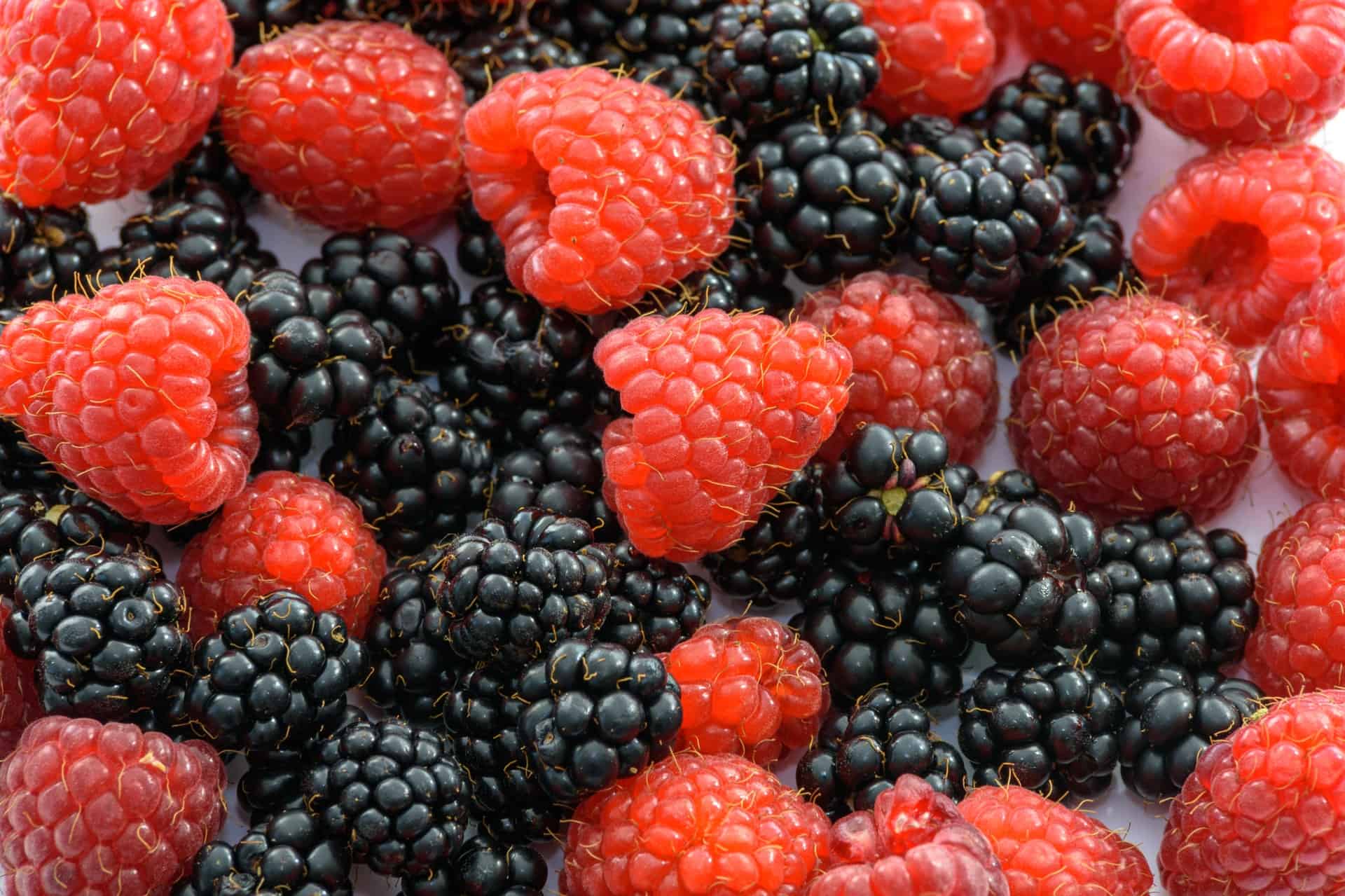 Diet for taekwondo athletes