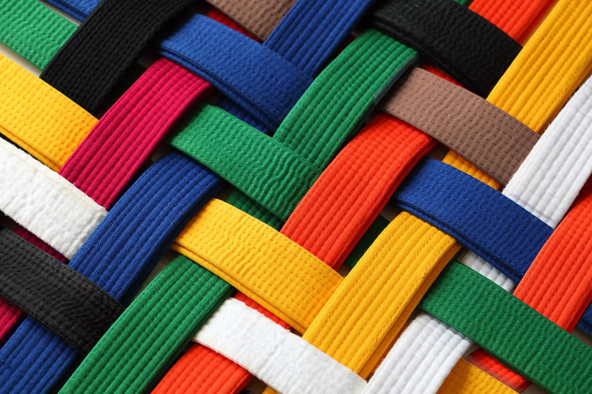 ITF Taekwondo Belt Order and Rank - Tae Kwon Do Nation